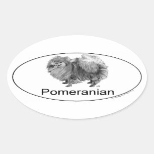 Sticker Ovale Euro Pomeranian
