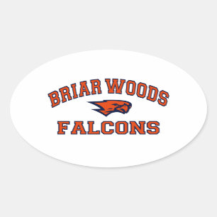 Sticker Ovale Falcons en bois de Briar