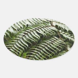 Sticker Ovale Fern Fronds II Dark Green Nature