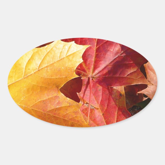 Sticker Ovale Feuilles d'automne - Etonnant! (Devant)