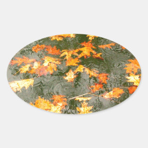 Sticker Ovale feuilles tombés sous la pluie