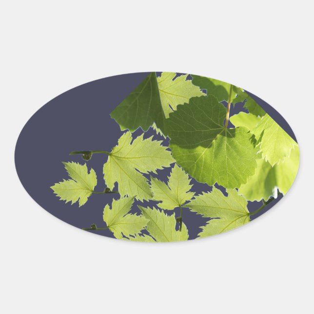 Sticker Ovale Feuilles verts de vigne (Devant)