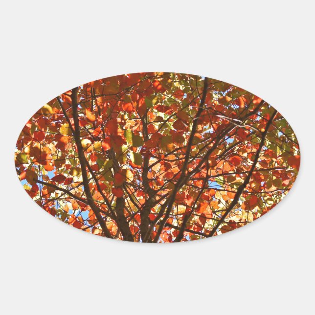 Sticker Ovale Feux d'artifice d'automne (Devant)