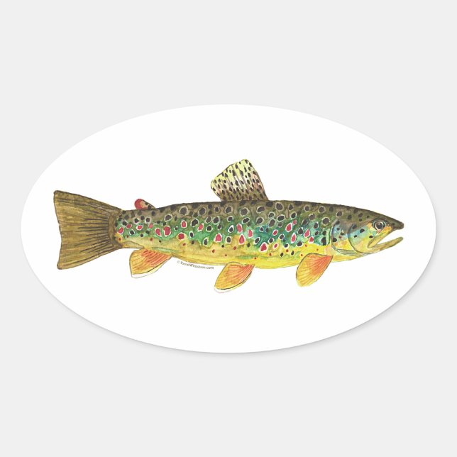 Sticker Ovale Fishing (Devant)