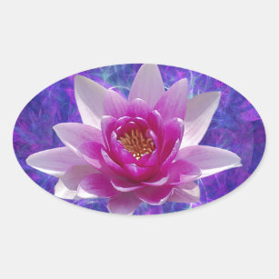 Sticker Ovale Fleur de lotus rose et signification