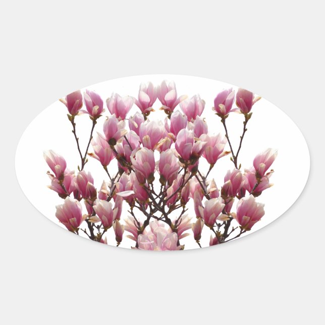 Sticker Ovale Fleur de printemps rose florissante Magnolias (Devant)