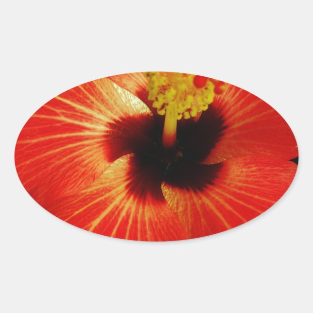 Sticker Ovale Fleur d'Hibiscus rouge-orange (Devant)