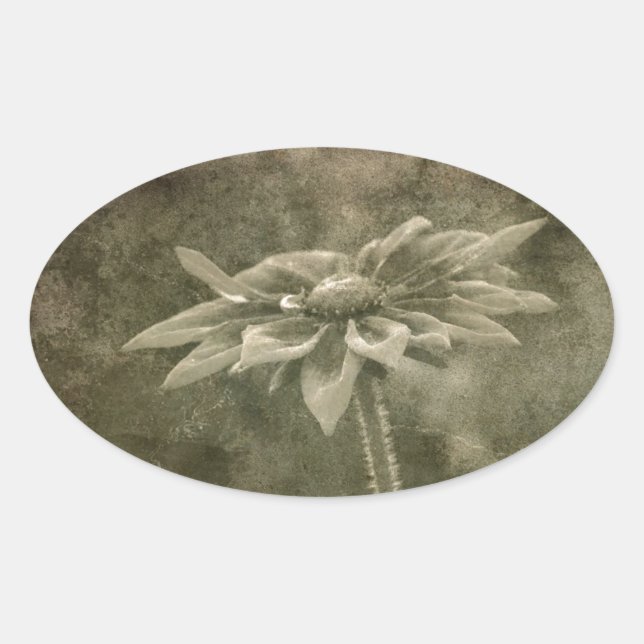 Sticker Ovale Fleur Vintage (Devant)