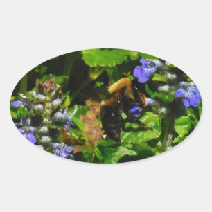 Sticker Ovale Fleur violette et abeille boursouflante