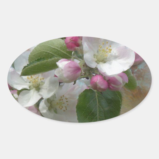 Sticker Ovale Fleurit de l'arbre Apple (Devant)