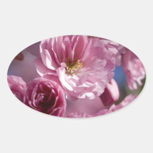 Sticker Ovale Fleurs Bienheureuses