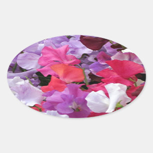 Sticker Ovale Fleurs de pois doux roses, violettes et blanches e