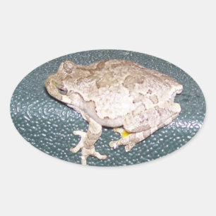 Sticker Ovale Froggy !