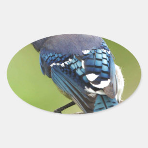 Sticker Ovale Geai bleu pensant à toi ami famille maman papa