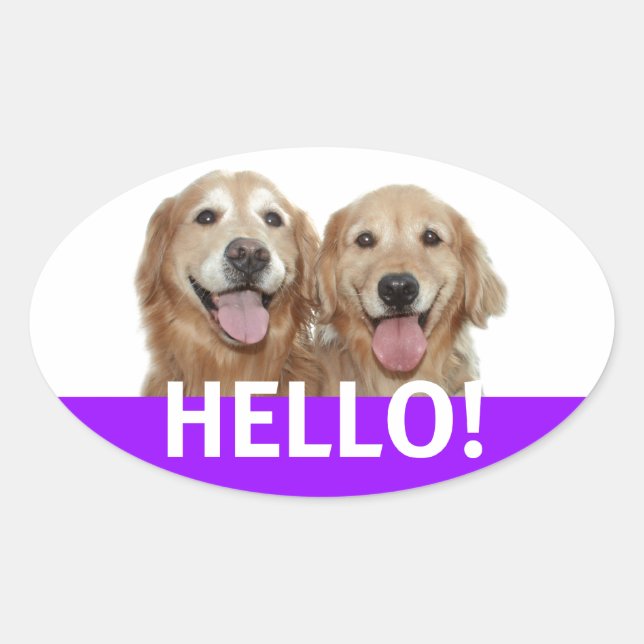 Sticker Ovale Golden Retriever Hello (Devant)