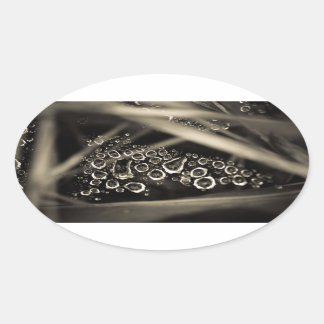 Sticker Ovale gouttes d'eau sur le web