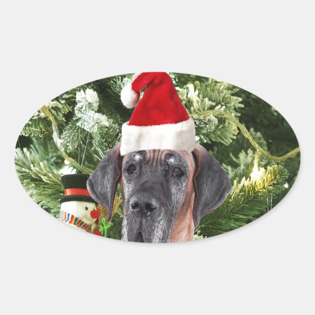 Sticker Ovale Grand Danois avec boîtes cadeaux de sapin de Noël  (Devant)