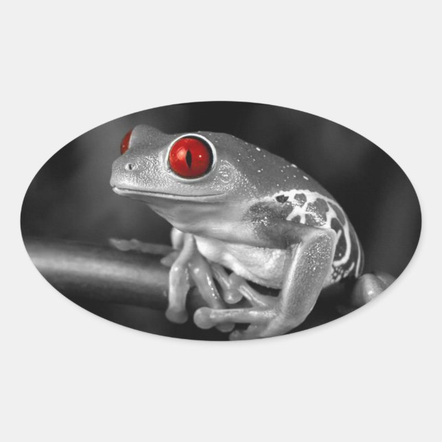 Sticker Ovale Grenouille d'arbre observée par rouge (Devant)