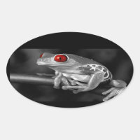 Grenouille d'arbre observée par rouge