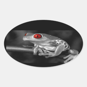 Sticker Ovale Grenouille d'arbre observée par rouge