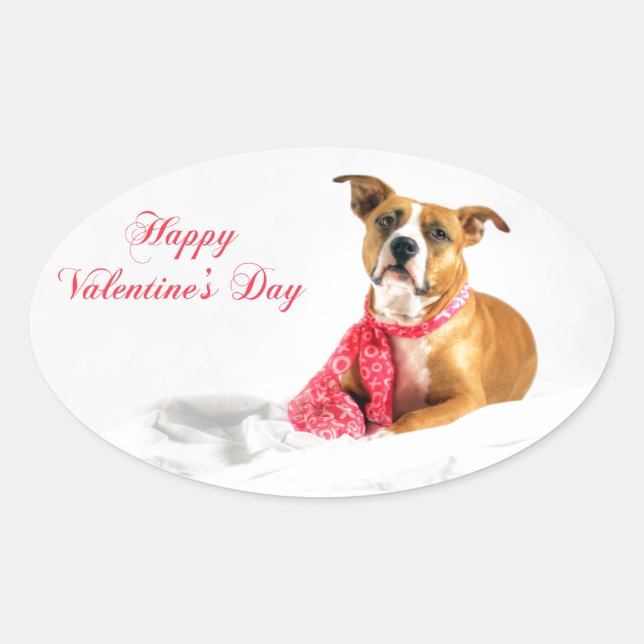 Sticker Ovale Heureuse Sainte-Valentin Pitbull Puppy (Devant)