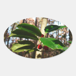 Sticker Ovale Holly Leaves