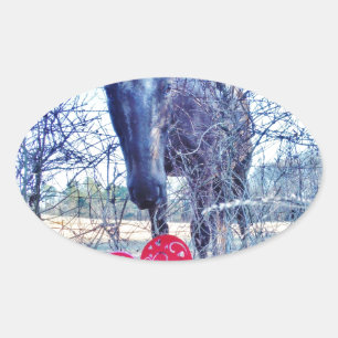 Sticker Ovale Horse et heart