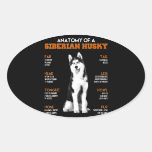 Sticker Ovale Husky   Anatomie Des Chiens Husky Sibériens