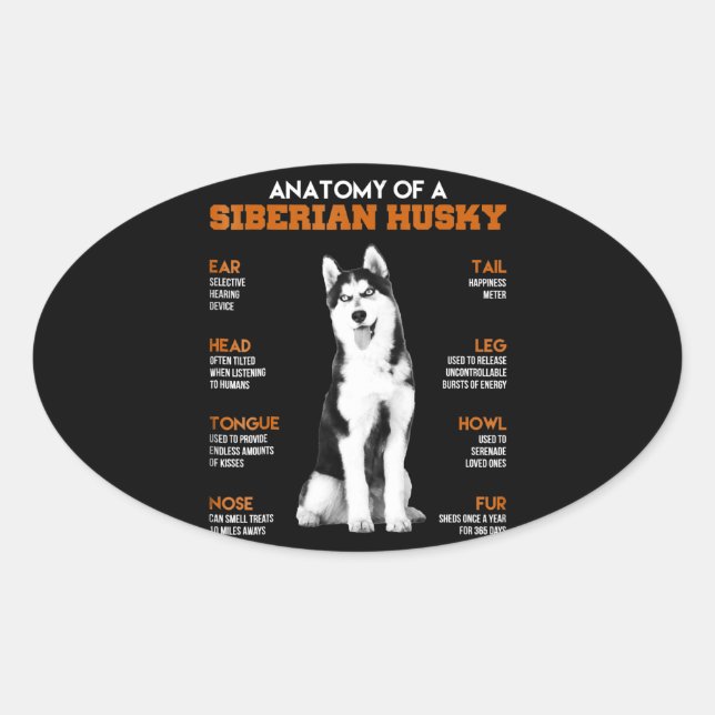 Sticker Ovale Husky | Anatomie Des Chiens Husky Sibériens (Devant)