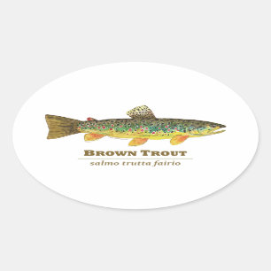 Sticker Ovale Ichthyologie latine de la truite Brown