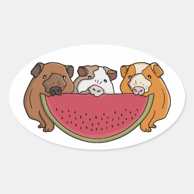 Sticker Ovale Illustration des Cochons de Guinée et de la pastèq (Devant)