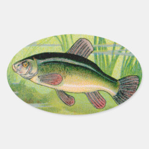Sticker Ovale Impression de poisson à Tenue vintage