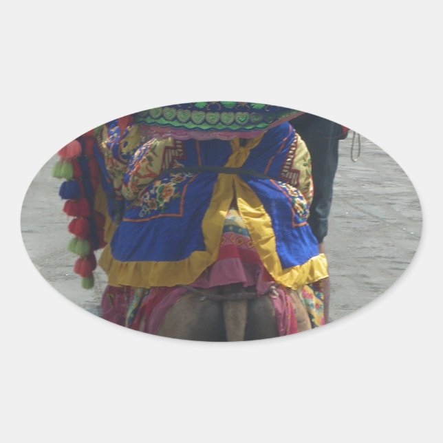 Sticker Ovale Imprimé/graphique en forme de chameau (Devant)