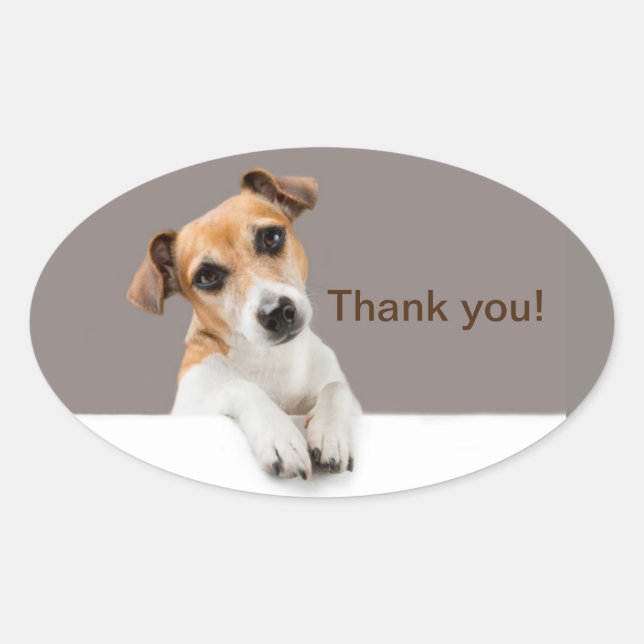 Sticker Ovale Jack Russell chiot sucré Merci adorable (Devant)