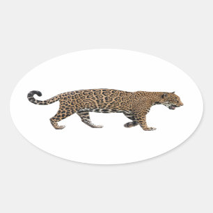 Sticker Ovale Jaguar