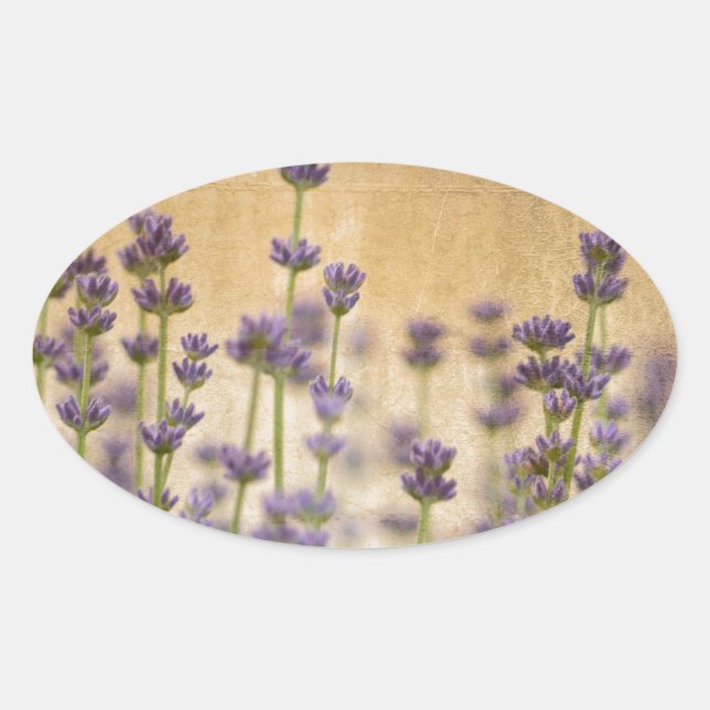 Sticker Ovale Jolies fleurs de lavande (Devant)
