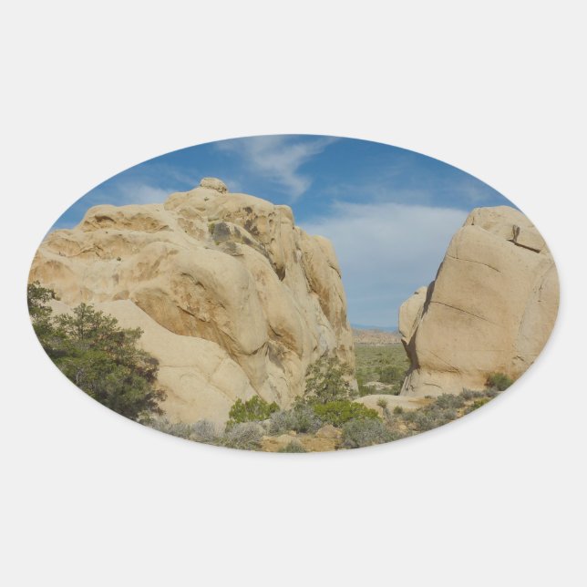 Sticker Ovale Jumbo Rocks au parc national Joshua Tree (Devant)