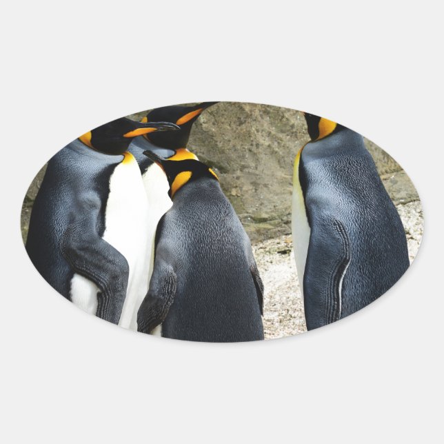 Sticker Ovale King Penguin (Devant)