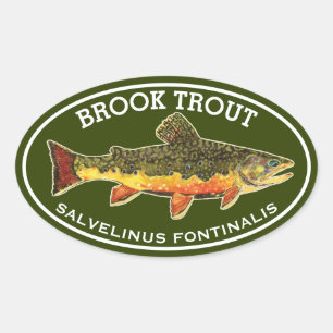 Sticker Ovale La Belle Truite de Rivière