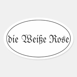Sticker Ovale la rose blanche