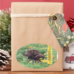 Sticker Ovale Laboratoire de chocolat dans la correction de