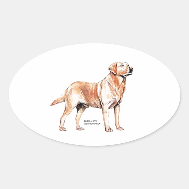 Sticker Ovale Labrador Retriever (Devant)