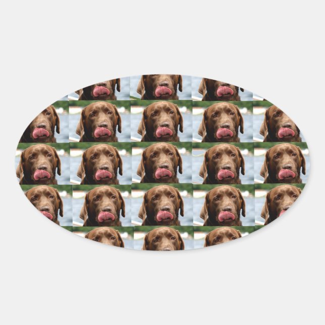 Sticker Ovale Labrador Retriever Chocolate Tiles BG (Devant)