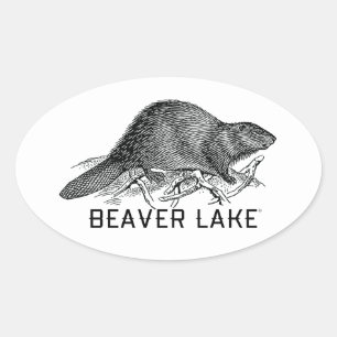 Sticker Ovale Lac Beaver