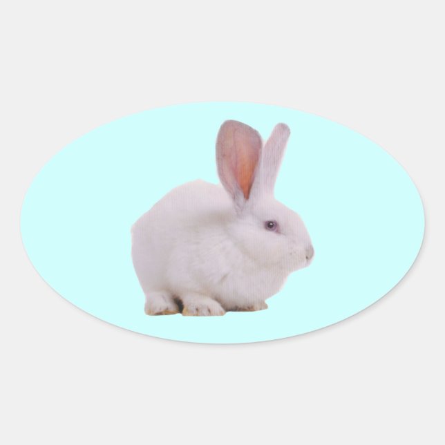 Sticker Ovale Lapin Mignon Kawaii (Devant)