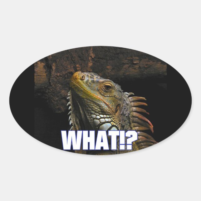 Sticker Ovale Le Quoi ! ? Iguana (Devant)