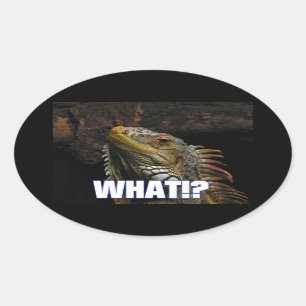 Sticker Ovale Le Quoi ! ? Iguana