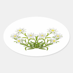 Sticker Ovale L'edelweiss suisse fleurit l'autocollant