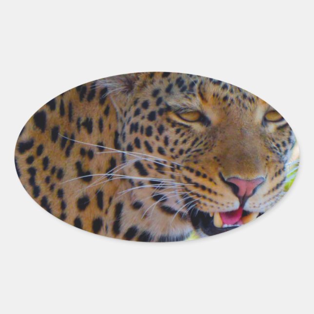 Sticker Ovale Léopard tacheté (Devant)