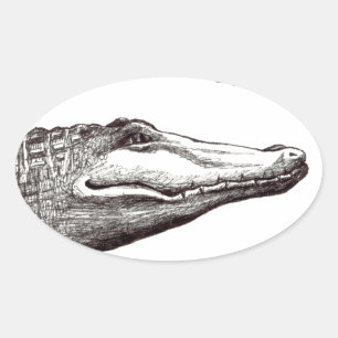Sticker Ovale Les libellules d'alligator crocodile dessin d'art